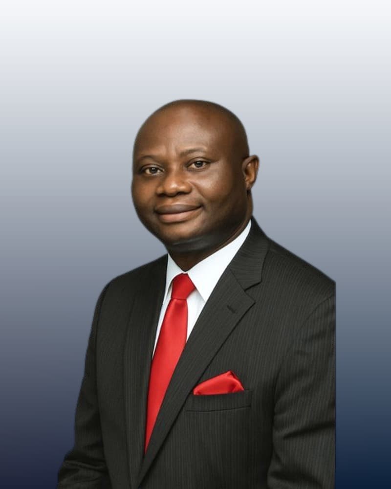 Professor Vincent A. Onodugo, PhD
